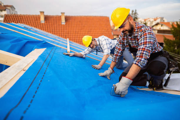 Best Roof Insulation Installation  in Lacoste, TX