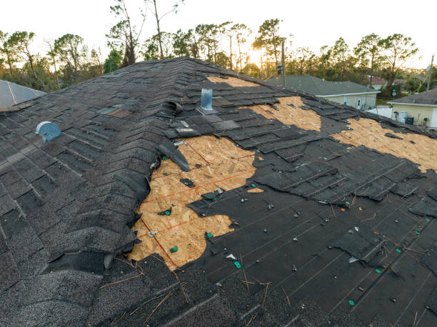 Best Slate Roofing  in Lacoste, TX